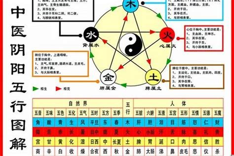 1984年生肖五行